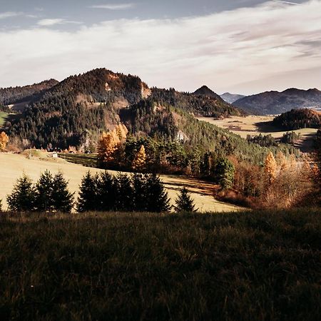 Willa Wzgorze Zámek Niedzica Exteriér fotografie
