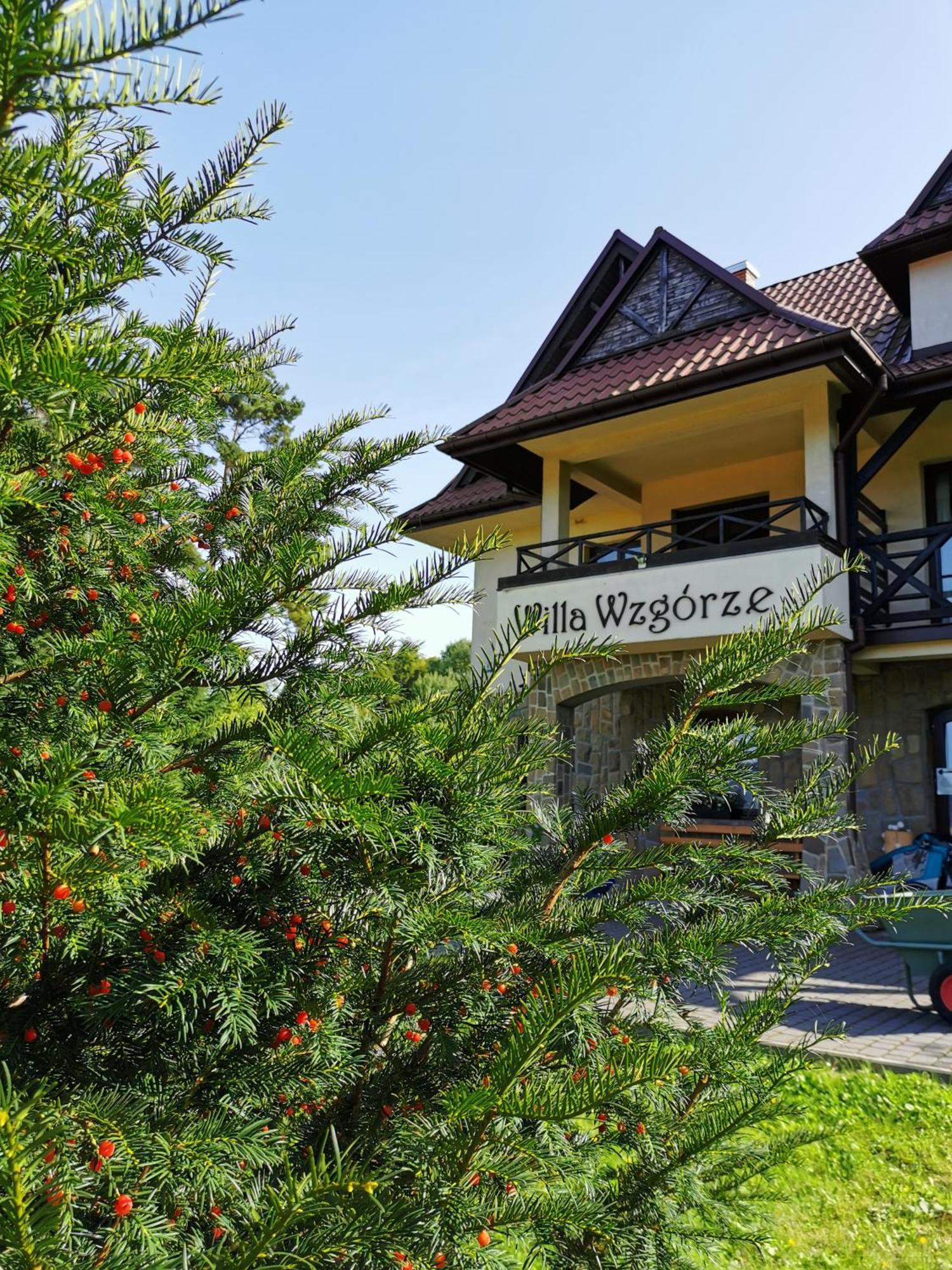 Willa Wzgorze Zámek Niedzica Exteriér fotografie